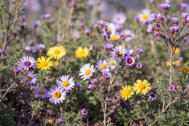 découvrez comment équilibrer l'utilisation des écrans chez les enfants grâce à des réglages adaptés, des règles claires et des astuces pratiques pour un usage sain et responsable.