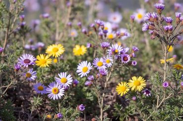 découvrez comment équilibrer l'utilisation des écrans chez les enfants grâce à des réglages adaptés, des règles claires et des astuces pratiques pour un usage sain et responsable.